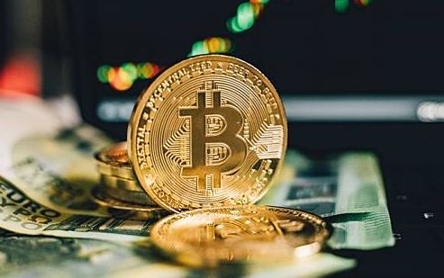 TP钱包如何辨别新币好币